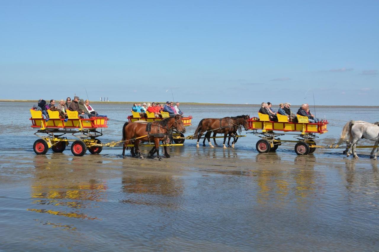 Lüttje Huus Frieda mit Strandkorb am Strand von Mai bis September Cuxhaven Exterior foto